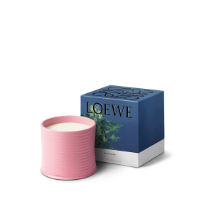 IVY LARGE SCENTED CANDLE | 2120gr