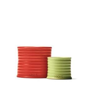 TOMATO LEAVES SMALL SCENTED CANDLE | 170gr