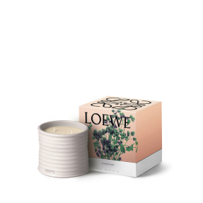 OREGANO MEDIUM SCENTED CANDLE | 610gr