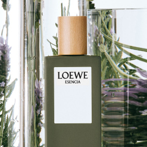 LOEWE ESENCIA EAU DE TOILETTE | 50ml