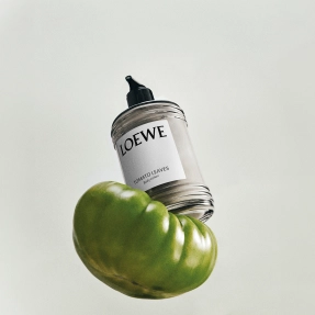 TOMATO LEAVES BODY LOTION | 360ml