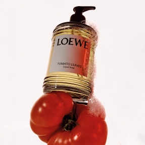 TOMATO LEAVES LIQUID SOAP | 360ml
