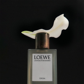 LOEWE UN PASEO POR MADRID OPERA EAU DE PARFUM | 100ml