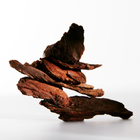 LOEWE UN PASEO POR MADRID DEBOD EAU DE PARFUM | 100ml