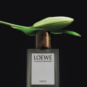 LOEWE UN PASEO POR MADRID DEBOD EAU DE PARFUM | 100ml