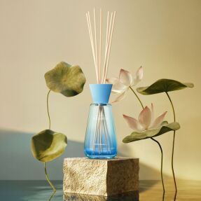 THE RITUAL OF SESHEN FRAGRANCE STICKS | 300ml