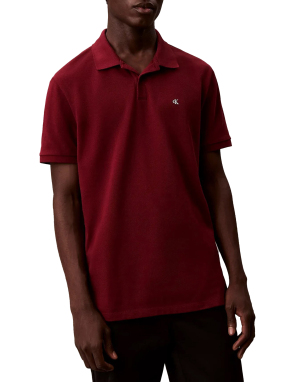 ΑΝΔΡΙΚΗ POLO ΜΠΛΟΥΖΑ | Μπορντό L