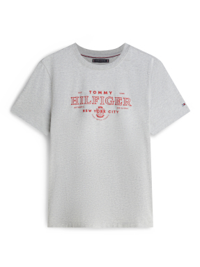 ΑΝΔΡΙΚΟ T-SHIRT | Γκρι XL