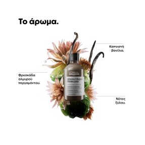 ABSOLUT REPAIR MOLECULAR ΣΑΜΠΟΥΑΝ ΜΟΡΙΑΚΗΣ ΕΠΑΝΟΡΘΩΣΗΣ ΧΩΡΙΣ ΘΕΙΙΚΑ ΑΛΑΤΑ ΓΙΑ ΤΑΛΑΙΠΩΡΗΜΕΝΑ ΜΑΛΛΙΑ | 500ml