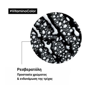 SERIE EXPERT VITAMINO COLOR 10 ΣΕ 1 ΣΠΡΕΙ ΓΙΑ ΒΑΜΜΕΝΑ ΜΑΛΛΙΑ | 190ml