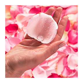 MICELLAIRE ROSE WATER 2 IN 1 | 400ml