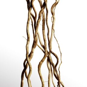 COOLWATER PARFUM MAN | 50ml