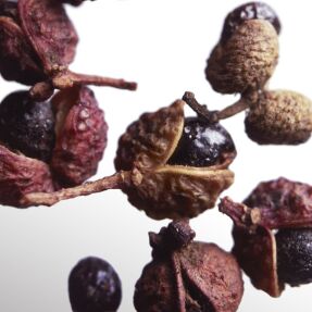 COOLWATER PARFUM MAN | 50ml