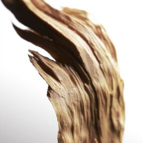 COOLWATER PARFUM MAN | 50ml