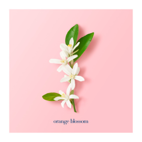 MY WAY EAU DE PARFUM INTENSE | 30ml