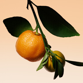 ARMANI PRIVÉ ORANGE MÉDITERRANÉE EAU DE TOILETTE | 100ml