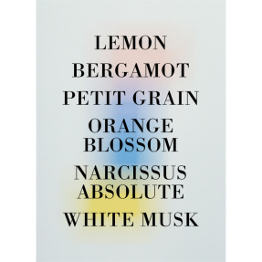 COLOGNE INDELEBILE PERFUME | 10ml