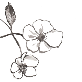 ROSA RUGOSA PERFUME GUN | 450ml