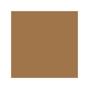 SKIN CAVIAR CONCEALER FOUNDATION SPF 15 | 30ml Almond Beige