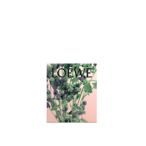 OREGANO SMALL SOLID SOAP DUO SET