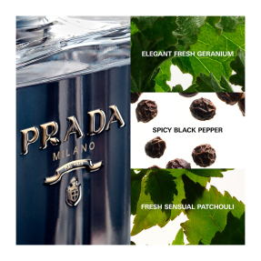 L'HOMME EAU DE TOILETTE | 50ml