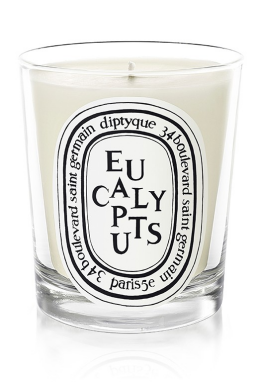 EUCALYPTUS SCENTED CANDLE | 190gr