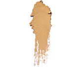 SKIN FOUNDATION STICK | 9gr 4 Natural