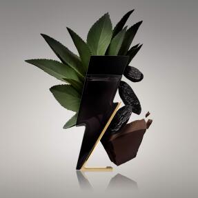 BAD BOY EAU DE TOILETTE | 50ml