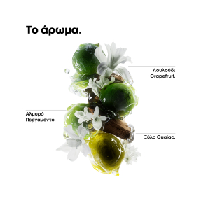 SERIE EXPERT METAL DETOX ΜΑΣΚΑ ΓΙΑ ΑΠΟΛΥΤΗ ΕΠΑΝΟΡΘΩΣΗ ΜΑΛΛΙΩΝ | 250ml