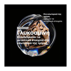 SERIE EXPERT METAL DETOX ΜΑΣΚΑ ΓΙΑ ΑΠΟΛΥΤΗ ΕΠΑΝΟΡΘΩΣΗ ΜΑΛΛΙΩΝ | 250ml