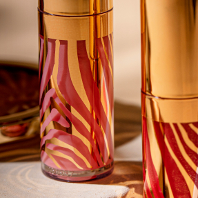 LE PHYTO-GLOSS | 6,5ml 5 Fireworks