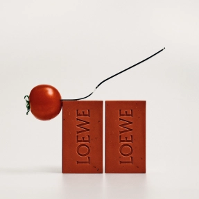 TOMATO LEAVES SMALL SOLID SOAP DUO SET