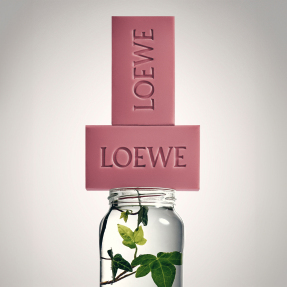 IVY SMALL SOLID SOAP DUO SET