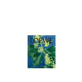 IVY SMALL SOLID SOAP DUO SET