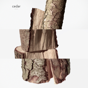 TWILLY D'HERMÈS EAU GINGER EAU DE PARFUM | 30ml