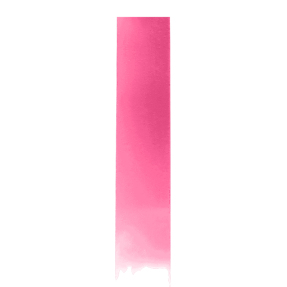 THE MINI TINT | Pink Mania - Shade 004