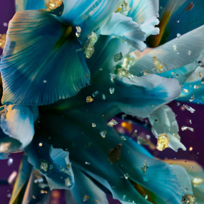 BVLGARI ALLEGRA SPETTACOLORE EAU DE PARFUM | 50ml