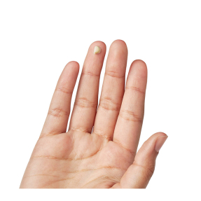 CREAMY EYE TREATMENT WITH AVOCADO | 14ml