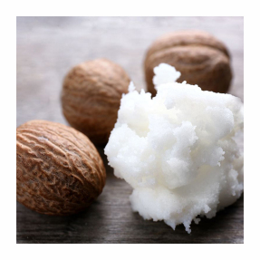 CREAMY EYE TREATMENT WITH AVOCADO | 14ml