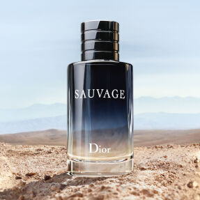 SAUVAGE EAU DE TOILETTE | 30ml