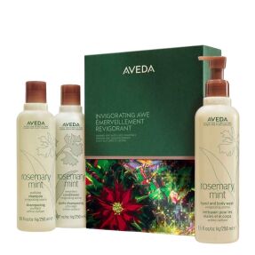 AVEDA INVIGORATING AWE ROSEMARY MINT HAIR & BODY ESSENTIALS GIFT SET