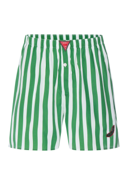 ΓΥΝΑΙΚΕΙΟ SHORTS | Πράσινο S