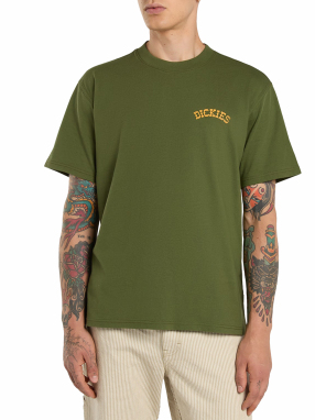 ΑΝΔΡΙΚΟ T-SHIRT BETTSVILLE | Λαδί XL