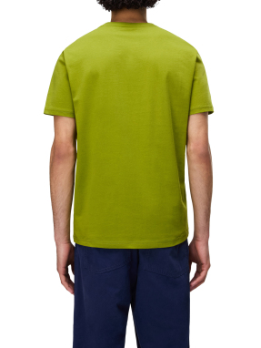 ΑΝΔΡΙΚΟ T-SHIRT SALIS | Πράσινο G3B XXL