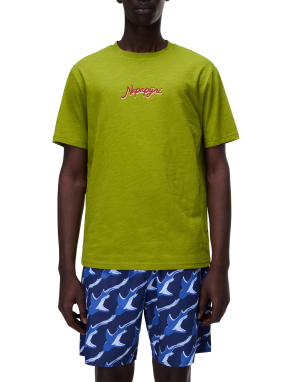 ΑΝΔΡΙΚΟ T-SHIRT S-ELIOR | Πράσινο XXL