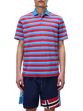 ΑΝΔΡΙΚΗ POLO ΜΠΛΟΥΖΑ E-HIKARI | Ριγέ  XXL