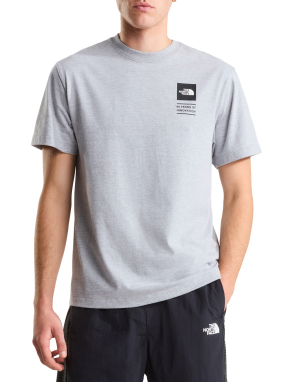 ΑΝΔΡΙΚΟ T-SHIRT TNF CELEBRATION | Γκρι M