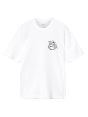 ΑΝΔΡΙΚΟ T-SHIRT TERRA | Λευκό XXL
