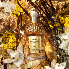 AQUA ALLEGORIA FORTE BOSCA VANILLA EAU DE PARFUM | 75ml