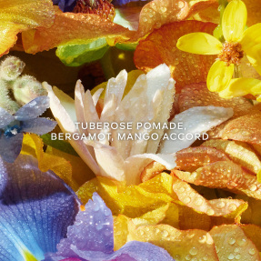 AQUA ALLEGORIA FLORABLOOM EAU DE TOILETTE REFILL | 200ml